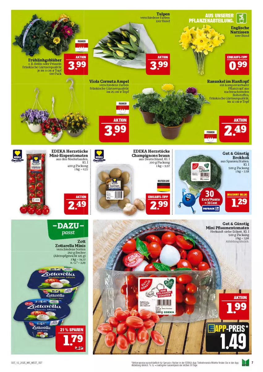 Aktueller Prospekt Marktkauf - Prospekt - von 16.03 bis 22.03.2025 - strona 7 - produkty: aktionspreis, Becher, braun, champignon, champignons, champignons braun, deka, eis, mini-rispentomaten, Narzissen, nuss, Pflanztopf, pflaume, pflaumen, Primeln, reis, rel, ring, rispentomaten, Stier, Ti, tomate, tomaten, topf, zott, zottarella, zottarella minis, ZTE