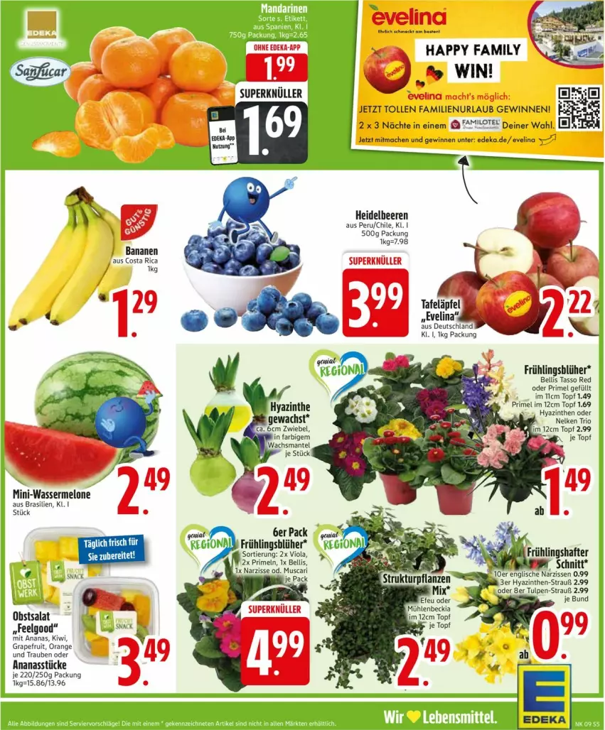 Aktueller Prospekt Edeka - Prospekte - von 24.02 bis 01.03.2025 - strona 5 - produkty: ananas, Ananasstücke, beere, beeren, deka, grapefruit, heidelbeere, heidelbeeren, kiwi, LG, mac, melone, obst, orange, Primeln, salat, Ti, topf, trauben, wasser, wassermelone