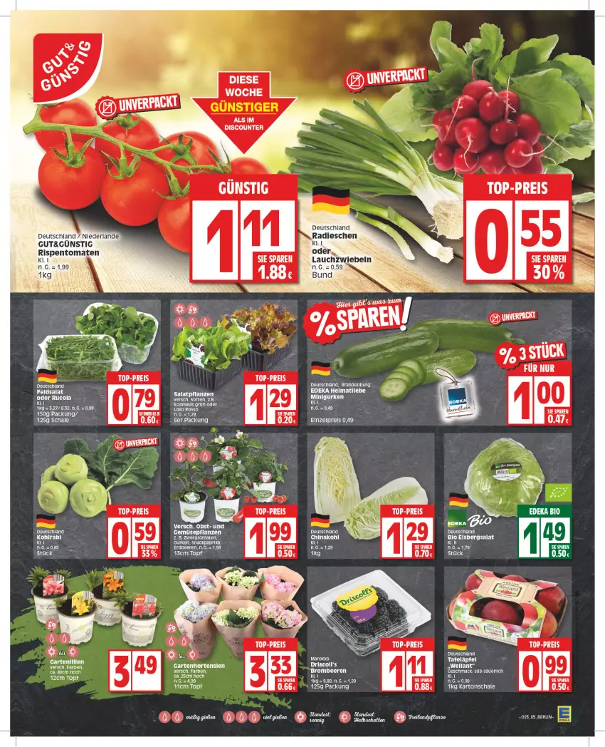 Aktueller Prospekt Edeka - Angebote der Woche - von 05.06 bis 10.06.2023 - strona 5 - produkty: beere, beeren, bio, deka, eis, eisbergsalat, erdbeere, erdbeeren, feldsalat, Garten, gurke, gurken, hortensie, hortensien, kohlrabi, mac, paprika, pflanze, reis, salat, Schal, Schale, snack, tafeläpfel, tee, tomate, tomaten, top-preis, topf, Wella