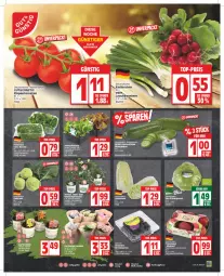 Gazetka promocyjna Edeka - Angebote der Woche - Gazetka - ważna od 10.06 do 10.06.2023 - strona 5 - produkty: beere, beeren, bio, deka, eis, eisbergsalat, erdbeere, erdbeeren, feldsalat, Garten, gurke, gurken, hortensie, hortensien, kohlrabi, mac, paprika, pflanze, reis, salat, Schal, Schale, snack, tafeläpfel, tee, tomate, tomaten, top-preis, topf, Wella