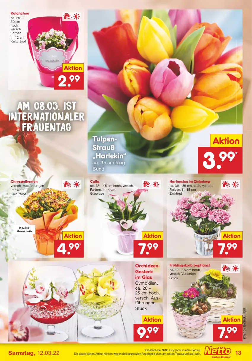 Aktueller Prospekt Netto Marken-Discount - Filial-Angebote - von 07.03 bis 12.03.2022 - strona 13 - produkty: angebot, chrysanthemen, eimer, hortensie, hortensien, Kalanchoe, korb, kulturtopf, orchidee, orchideen, Ria, Ti, topf, Vase, ZTE