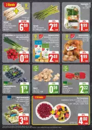 Gazetka promocyjna Edeka - Prospekte - Gazetka - ważna od 27.04 do 27.04.2024 - strona 5 - produkty: bio, deka, edeka bio, eis, ente, erde, ingwer, Lauchzwiebel, lauchzwiebeln, obst, paprika, pasta, radieschen, reis, salat, Schal, Schale, Ti, ZTE, zwiebel, zwiebeln