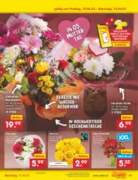 Gazetka promocyjna Netto Marken-Discount - Filial-Angebote - Gazetka - ważna od 13.05 do 13.05.2023 - strona 41 - produkty: angebot, bestpreis, blume, blumen, eis, Geschenktasche, reis, rosen, Tasche, Ti, wasser, ZTE