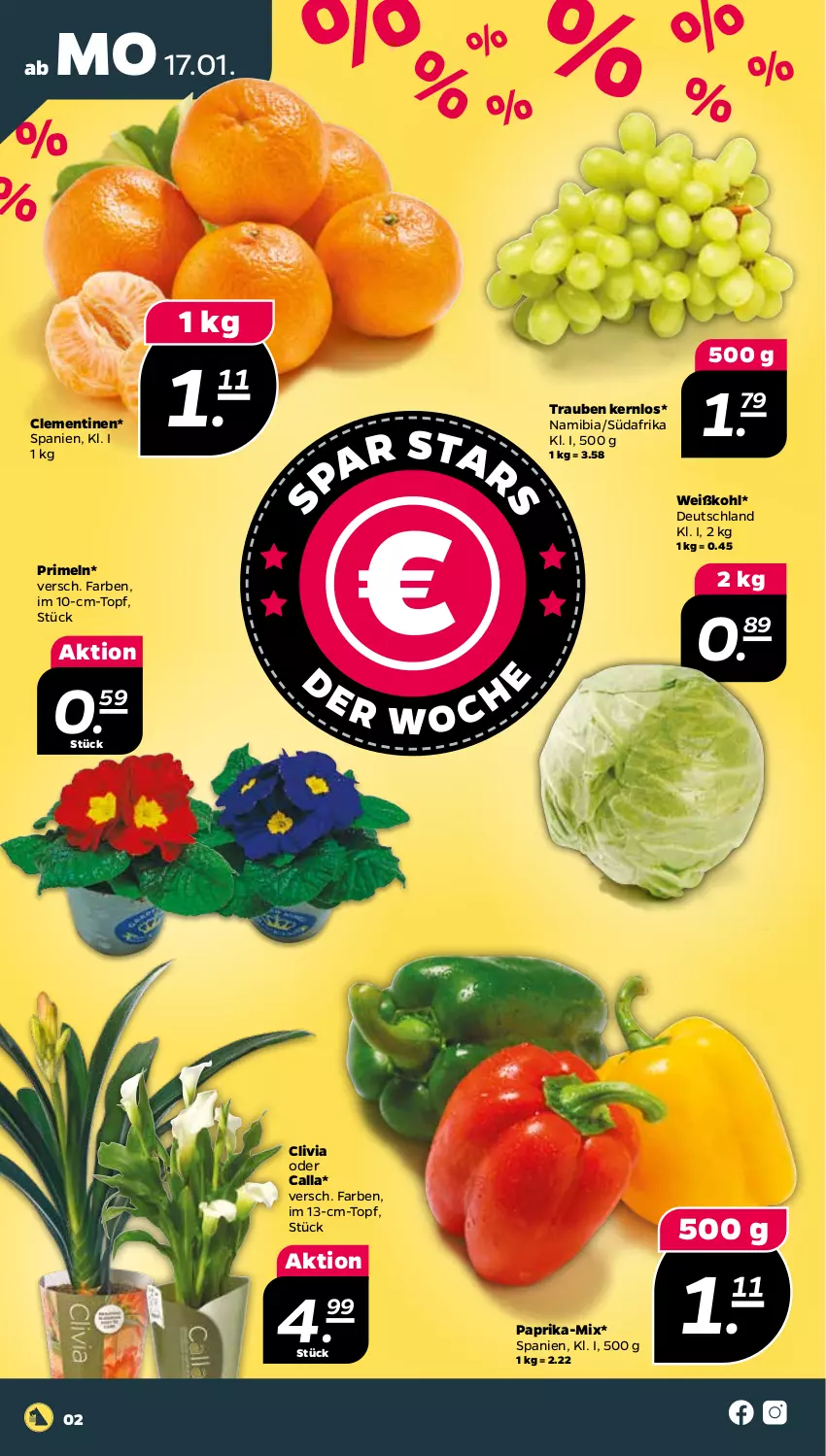 Aktueller Prospekt Netto - Angebote ab Montag - von 17.01 bis 22.01.2022 - strona 2 - produkty: clementinen, paprika, Primeln, Ti, topf, trauben, Weißkohl