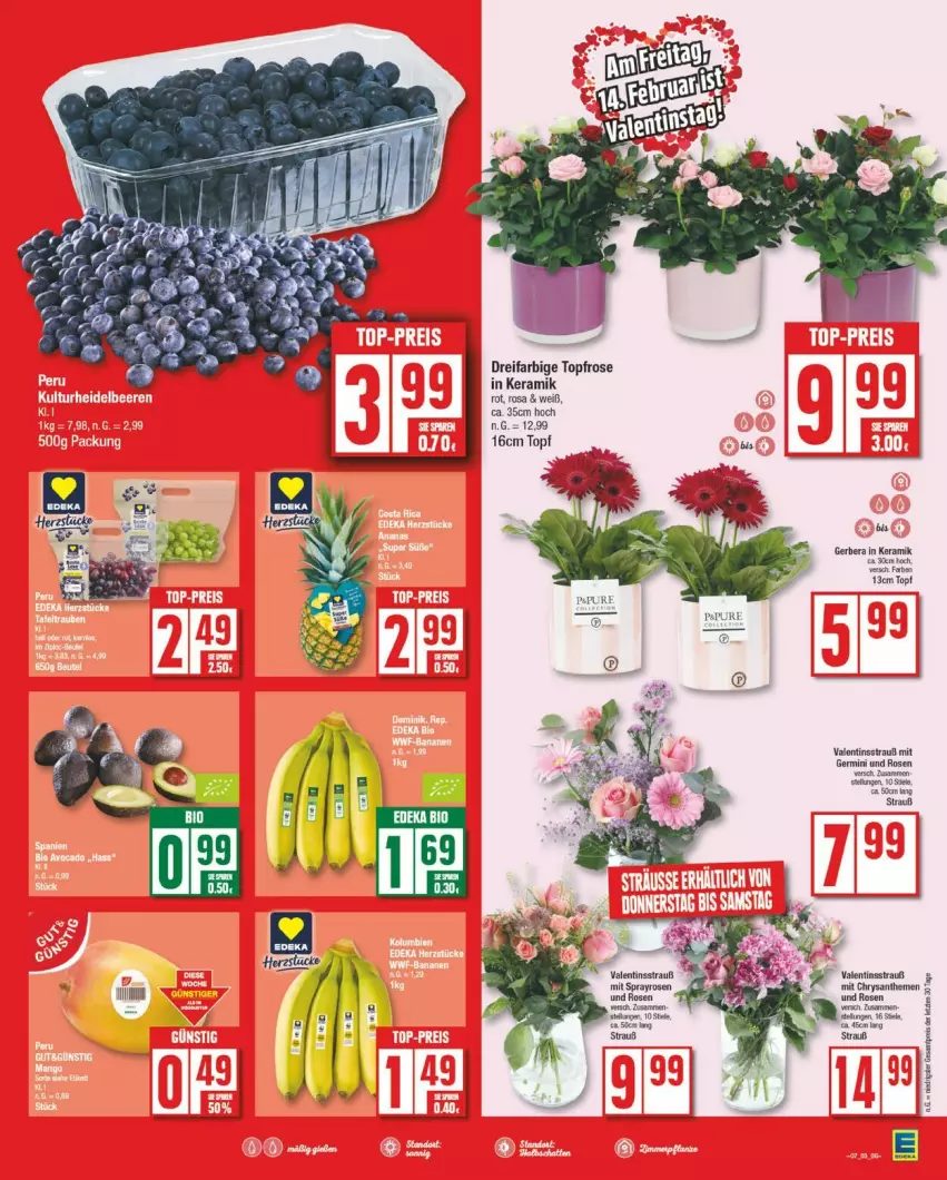 Aktueller Prospekt Edeka - Prospekte - von 10.02 bis 15.02.2025 - strona 7 - produkty: chrysanthemen, eis, Gerber, Germ, LG, reis, rosen, Ti, topf