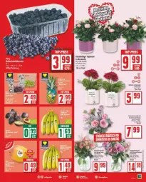 Gazetka promocyjna Edeka - Prospekte - Gazetka - ważna od 15.02 do 15.02.2025 - strona 7 - produkty: chrysanthemen, eis, Gerber, Germ, LG, reis, rosen, Ti, topf