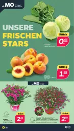 Gazetka promocyjna Netto - Woche 22 - Gazetka - ważna od 01.06 do 01.06.2024 - strona 2 - produkty: blume, eier, kohlrabi, Körbchen, Kraut, pfirsich, pfirsiche, Schmuck, schoko, schokolade, schokoladen, stauden