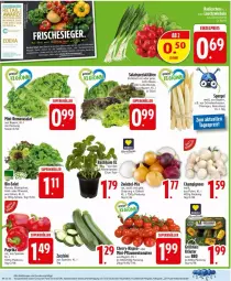 Gazetka promocyjna Edeka - Prospekte - Gazetka - ważna od 17.05 do 17.05.2025 - strona 4 - produkty: basilikum, bio, blattspinat, champignon, champignons, cola, eis, elle, ente, frucht, K2, magazin, paprika, paprika rot, pflaume, pflaumen, reis, Romanasalat, rucola, salat, Schal, Schale, spargel, Spezi, spinat, Ti, tomate, tomaten, topf, zucchini, zwiebel