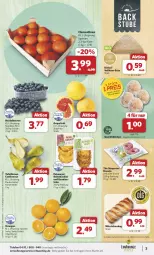 Gazetka promocyjna Combi - Prospekte - Gazetka - ważna od 23.11 do 23.11.2024 - strona 3 - produkty: angebot, angebote, beere, beeren, beutel, Birnen, clementinen, Donut, donuts, eis, grapefruit, heidelbeere, heidelbeeren, korn, kuchen, orange, orangen, quark, reis, Schal, Schale, sim, stube, tafelbirnen, telefon, Ti, und gemüse, würstchen, ZTE