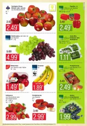 Gazetka promocyjna Edeka - Prospekte - Gazetka - ważna od 29.06 do 29.06.2024 - strona 5 - produkty: banane, bananen, beere, beeren, blattspinat, deka, erdbeere, erdbeeren, feldsalat, heidelbeere, heidelbeeren, Nektar, nektarinen, paprika, pfirsich, pfirsiche, plattpfirsiche, salat, spinat, tafeläpfel, tafeltrauben, trauben, Wella, ZTE