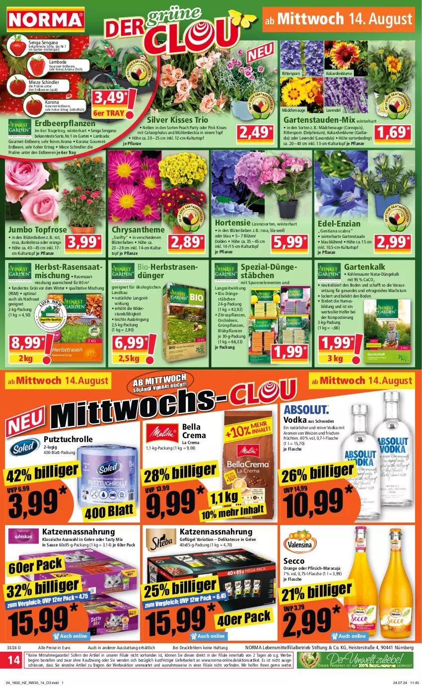 Aktueller Prospekt Norma - Norma - von 12.08 bis 19.08.2024 - strona 14 - produkty: Bad, Bau, Bebe, beere, beeren, bella crema, bio, blume, Blüte, dünger, ecco, eis, elle, ente, erdbeere, erdbeeren, Erdbeerpflanze, flasche, früchte, früchten, Garten, Geflügel, gelee, gin, Grünpflanzen, hortensie, HP, jumbo, kulturtopf, lavendel, lebensmittel, maracuja, Nassnahrung, natur, orange, orchidee, orchideen, oreo, pfirsich, pflanze, pflanzen, rasen, rasendünger, reis, Ria, ring, ritter, sauce, Spezi, stauden, Stier, Ti, topf, tuc, usb, vodka