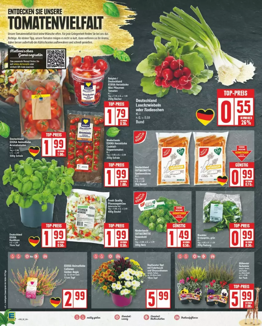 Aktueller Prospekt Edeka - Prospekte - von 16.09 bis 21.09.2024 - strona 2 - produkty: aeg, eis, Lauchzwiebel, lauchzwiebeln, leine, Ofen, radieschen, reis, rispentomaten, Schal, Schale, tee, Ti, tomate, tomaten, top-preis, topf, zwiebel, zwiebeln