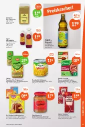 Gazetka promocyjna Tegut - Angebote der Woche - Gazetka - ważna od 02.09 do 02.09.2023 - strona 17 - produkty: beutel, bio, bolognese, bonduelle, bonduelle goldmais, couscous, Dr. Oetker, eier, eiernudeln, elle, ente, flasche, Goldmais, händlmaier, Hausmacher, heinz, knorr, knorr fix, lebensmittel, mac, mais, natur, natura, nudel, nudeln, papier, pudding, rapsöl, senf, spaghetti, spaghetti bolognese, teigwaren, Ti, Zabler