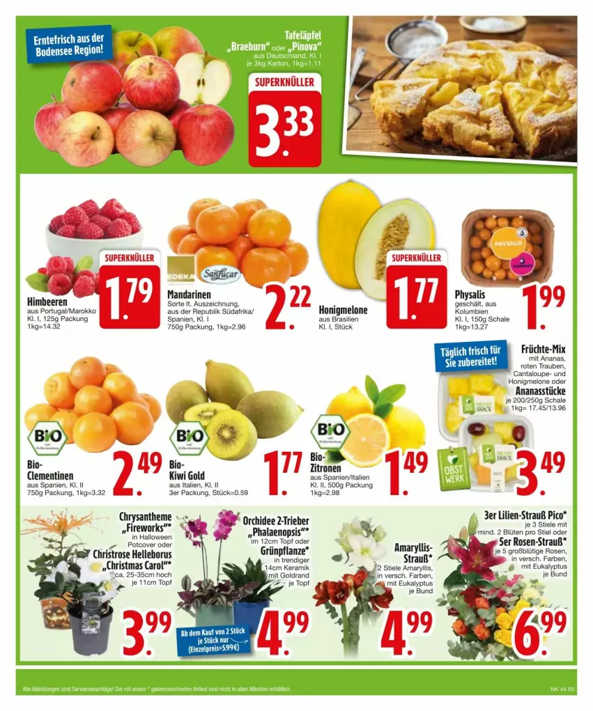 Aktueller Prospekt Edeka - Prospekte - von 27.10 bis 04.11.2024 - strona 7 - produkty: ananas, Ananasstücke, bio, Blüte, eis, elle, früchte, honig, honigmelone, mandarine, mandarinen, melone, orchidee, pflanze, phalaenopsis, Physalis, reis, rosen, Schal, Schale, tee, Ti, topf, trauben