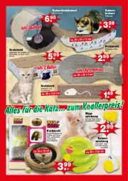 Gazetka promocyjna  - Prospekte - Gazetka - ważna od 09.11 do 09.11.2024 - strona 2 - produkty: ball, erde, fisch, Kugel, minze, spielzeug