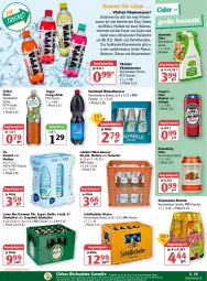 Gazetka promocyjna Globus - Prospekte - Gazetka - ważna od 07.05 do 07.05.2022 - strona 23 - produkty: alkohol, Alwa, angebot, angebotspreis, beere, bier, bio, cider, decke, desperados, drink, eier, eis, eistee, elle, flasche, getränk, getränke, gin, grapefruit, himbeer, himbeere, hochwald, Kette, melone, mineralwasser, mw-flasche, natur, pet-flasche, pfirsich, pils, premium pils, radler, Rauch, reis, rel, schöfferhofer, somersby, sonderposten, tee, Ti, tiefst-preis, vita, wasser, wassermelone, zitrone, zucker