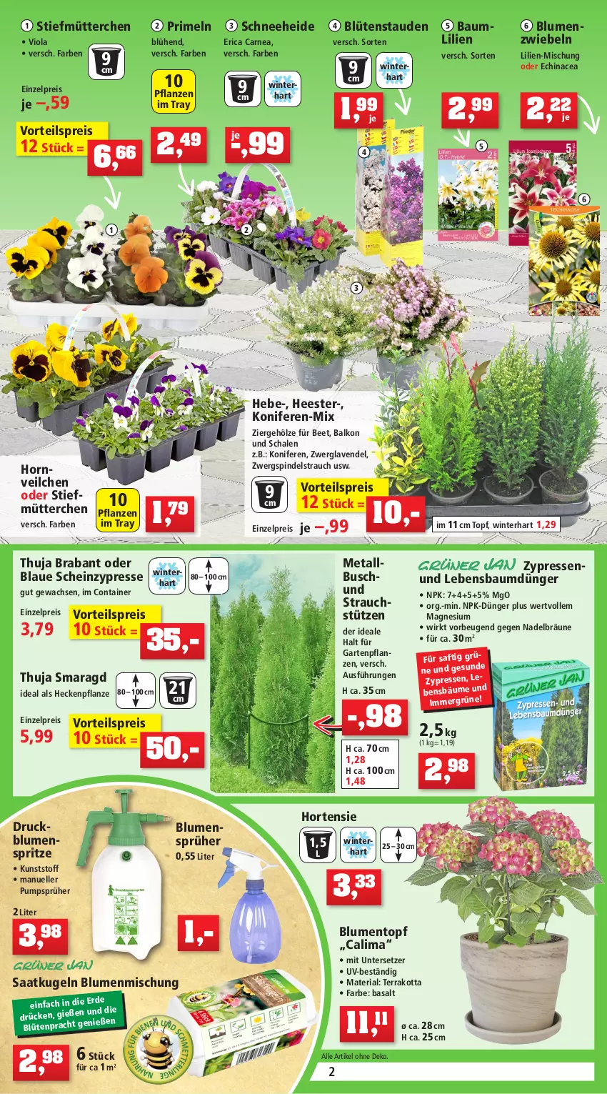 Aktueller Prospekt Thomas Philipps - Prospektwerbung - von 07.03 bis 12.03.2022 - strona 2 - produkty: Abba, Bau, bio, blume, blumen, Blüte, Blütenstauden, Container, dünger, Echinacea, eis, elle, erde, Garten, Gartenpflanze, Gießkanne, handschuhe, heinz, Holz, hortensie, Kinder, kokos, Konifere, kräuter, Kugel, lavendel, leine, LG, magnesium, natur, pflanze, pflanzen, Primeln, quad, Rauch, reis, Ria, rind, rindenmulch, saft, salat, Schal, Schale, schuhe, Sport, stauden, Ti, tisch, topf, Untersetzer, vita, vorteilspreis, zwiebel, zwiebeln