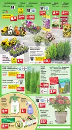 Gazetka promocyjna Thomas Philipps - Prospektwerbung - Gazetka - ważna od 12.03 do 12.03.2022 - strona 2 - produkty: Abba, Bau, bio, blume, blumen, Blüte, Blütenstauden, Container, dünger, Echinacea, eis, elle, erde, Garten, Gartenpflanze, Gießkanne, handschuhe, heinz, Holz, hortensie, Kinder, kokos, Konifere, kräuter, Kugel, lavendel, leine, LG, magnesium, natur, pflanze, pflanzen, Primeln, quad, Rauch, reis, Ria, rind, rindenmulch, saft, salat, Schal, Schale, schuhe, Sport, stauden, Ti, tisch, topf, Untersetzer, vita, vorteilspreis, zwiebel, zwiebeln