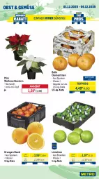 Gazetka promocyjna Metro - Wochen-Angebote - Gazetka - ważna od 06.12 do 06.12.2025 - strona 7 - produkty: angebot, beutel, clementinen, eis, filet, fisch, frischfisch, garnelen, lachs, limette, limetten, Metro, Mett, metten, obst, orange, orangen, Räucherlachs, reis, Schal, Schale, thunfisch, Ti, tiefpreis, topf, Weihnachtsstern