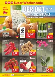 Gazetka promocyjna Netto Marken-Discount - Filial-Angebote - Gazetka - ważna od 28.01 do 28.01.2023 - strona 32 - produkty: asti, aust, beere, beeren, bestpreis, bio, bio-zucchini, Birnen, Blüte, eis, erdbeere, erdbeeren, Mett, ndk, obst, orchidee, paprika, paprika rot, reis, Schal, Schale, Schmetterling, schmetterlingsorchidee, Spitzpaprika, Ti, topf, zucchini, zwiebel, zwiebeln