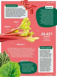 Gazetka promocyjna Vmarkt - Prospekte - Gazetka - ważna od 24.04 do 24.04.2024 - strona 31 - produkty: Bau, erde, Heu, mac, rel, rhabarber, ring, Ti, wasser