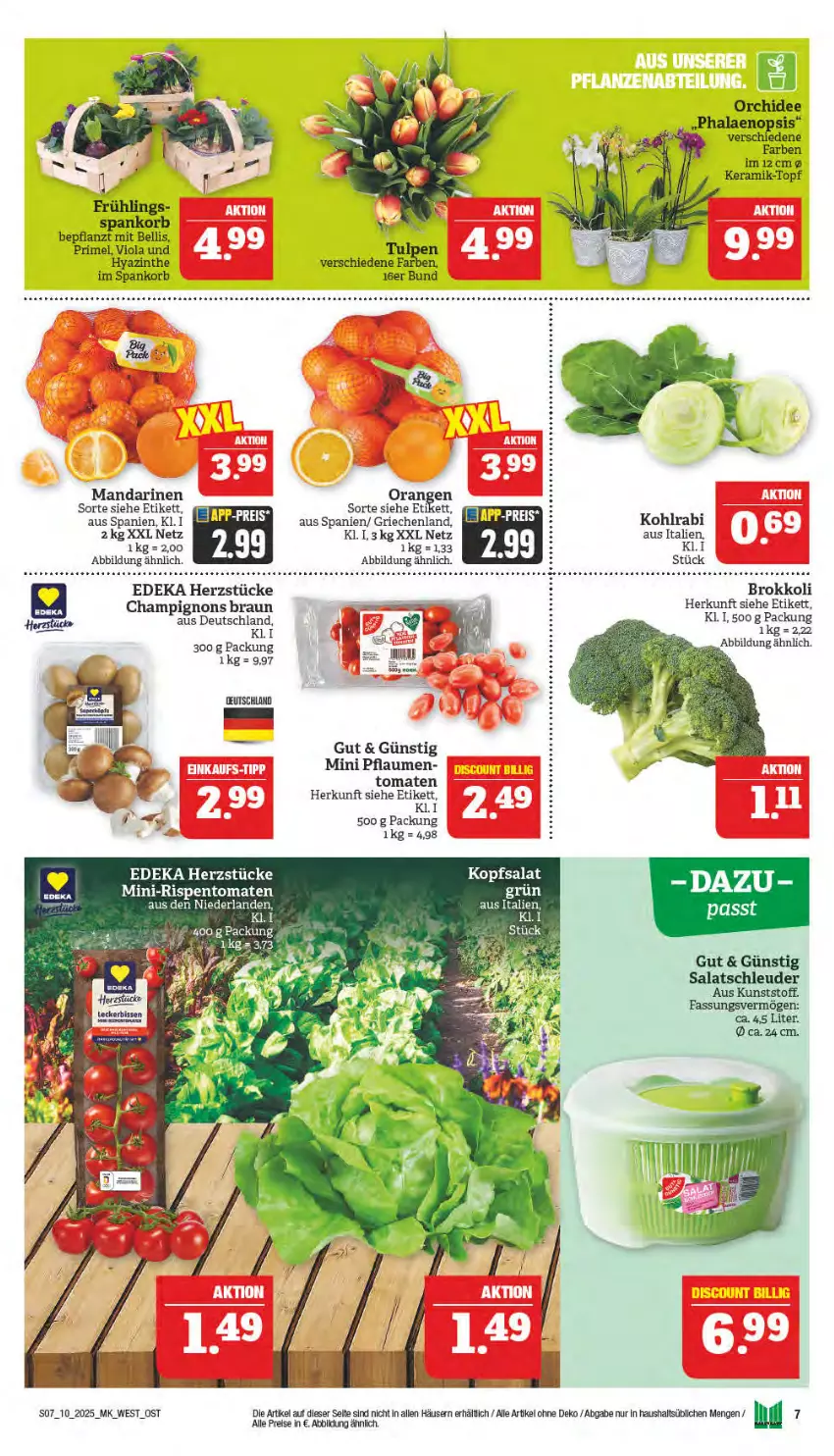 Aktueller Prospekt Marktkauf - Prospekt - von 02.03 bis 08.03.2025 - strona 7 - produkty: braun, brokkoli, champignon, champignons, champignons braun, deka, eis, kohlrabi, kopfsalat, korb, mandarine, mandarinen, mini-rispentomaten, orange, orangen, pflaume, pflaumen, reis, rispentomaten, salat, Ti, tomate, tomaten