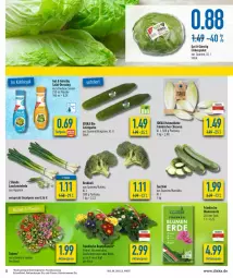 Gazetka promocyjna Diska - Prospekte - Gazetka - ważna od 26.02 do 26.02.2022 - strona 5 - produkty: aktionspreis, beetpflanzen, bio, blume, blumen, blumenerde, brokkoli, burger, deka, dressing, edeka bio, eis, eisbergsalat, erde, fisch, flasche, gurke, Lauchzwiebel, lauchzwiebeln, LG, pflanze, pflanzen, reis, sac, salat, Salatgurke, Ti, tiefpreis, topf, zucchini, zwiebel, zwiebeln