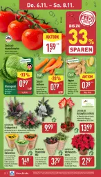 Gazetka promocyjna Aldi Nord - Von Montag - Gazetka - ważna od 08.11 do 08.11.2025 - strona 34 - produkty: Blüte, Brei, cocktail, dell, eis, elle, gin, Grabschale, henkel, ingwer, Kalanchoe, korb, kulturtopf, LG, Mode, möhren, papier, Papiertüte, pflanze, reis, rispentomaten, Schal, Schale, snack, tee, Ti, tomate, tomaten, topf, trolli, Tüte, Wirsing, ZTE, zwiebel