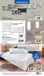 Gazetka promocyjna Lidl - Aktionsprospekt - Gazetka - ważna od 15.07 do 15.07.2023 - strona 29 - produkty: Bau, baumwolle, bett, bier, dimmer, eis, erde, Finish, kissen, kopfkissen, Leuchte, leuchten, leuchtmittel, mikrofaser, Schal, steppbett, Ti, tisch, tischleuchte, weck, wolle