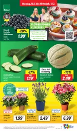 Gazetka promocyjna Lidl - Aktionsprospekt - Gazetka - ważna od 15.07 do 15.07.2023 - strona 7 - produkty: Abtei, beere, beeren, bio, bioland, decke, discount, eis, heidelbeere, heidelbeeren, lavendel, melone, pflanze, pflanzen, reis, saft, Ti, topf, zucchini