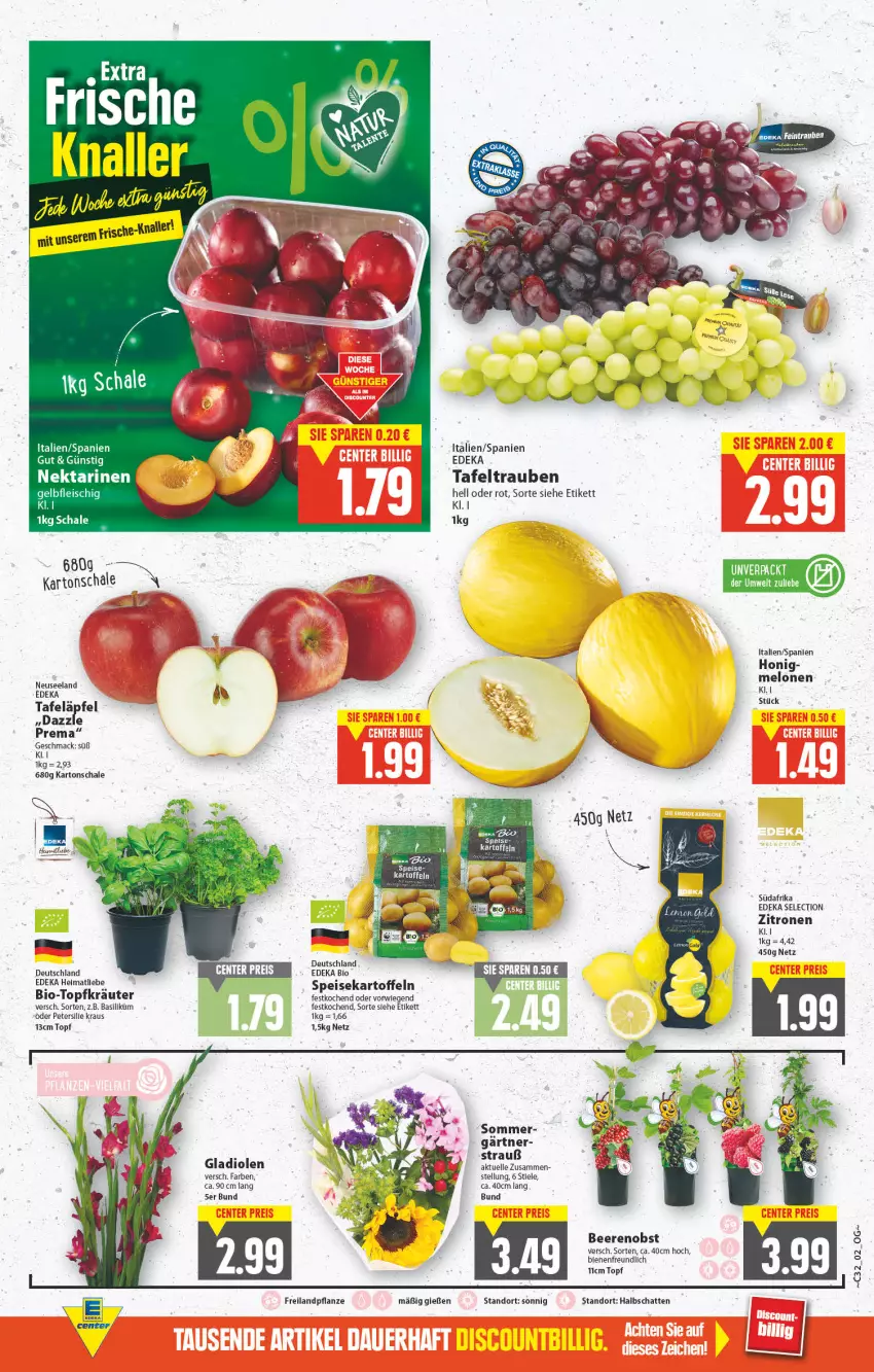 Aktueller Prospekt E Center - Angebote der Woche - von 08.08 bis 13.08.2022 - strona 2 - produkty: basilikum, beere, beeren, bio, deka, edeka bio, eis, Elan, elle, fleisch, Gladiolen, honig, kartoffel, kartoffeln, mac, melone, melonen, Nektar, nektarinen, obst, petersilie, pflanze, Schal, Schale, speisekartoffeln, tafeläpfel, tafeltrauben, Ti, topf, trauben, zitrone, zitronen