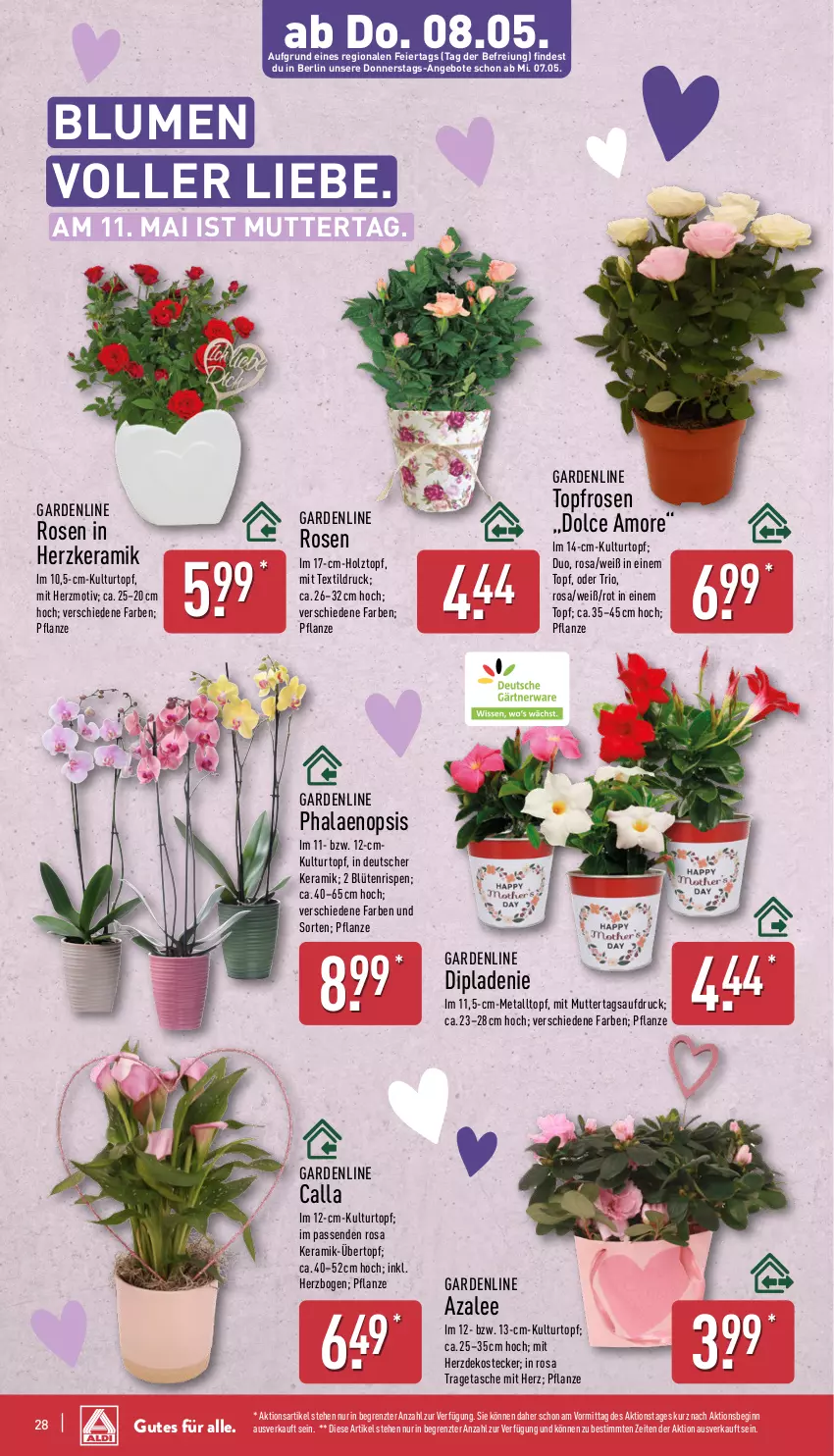 Aktueller Prospekt Aldi Nord - Von Montag - von 05.05 bis 10.05.2025 - strona 28 - produkty: angebot, angebote, blume, blumen, Blüte, dip, eier, gin, Holz, kulturtopf, pflanze, phalaenopsis, rosen, Tasche, Ti, topf, tragetasche, übertopf, ZTE