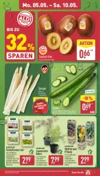 Gazetka promocyjna Aldi Nord - Von Montag - Gazetka - ważna od 10.05 do 10.05.2025 - strona 3 - produkty: dünger, Elan, gin, gurke, HP, kiwi, korb, kulturtopf, LG, pflanze, pflanzen, spargel, tablet, tablett, Tablette, Ti, topf, trolli, Vase, ZTE