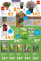 Gazetka promocyjna  - Gazetka - ważna od 25.04 do 25.04.2026 - strona 3 - produkty: beutel, bio, Blüte, dekoration, dip, dipladenia, dünger, Garten, Gartendekoration, kartoffel, kartoffeln, korn, Kraut, kräuter, obst, pflanze, pflanzen, rasen, rasendünger, rasensamen, rind, rindenmulch, rwe, sac, schneckenkorn, Sport, Ti, Tiere, topf