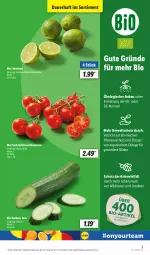 Gazetka promocyjna Lidl - Aktionsprospekt - Gazetka - ważna od 06.07 do 06.07.2024 - strona 3 - produkty: angebot, auer, Bau, bio, bio gurken, cocktail, cocktails, dünger, gurke, gurken, limette, limetten, Mett, metten, pflanze, pflanzen, Rauch, sekt, strauchtomaten, Ti, Tiere, tomate, tomaten, Wild, ZTE