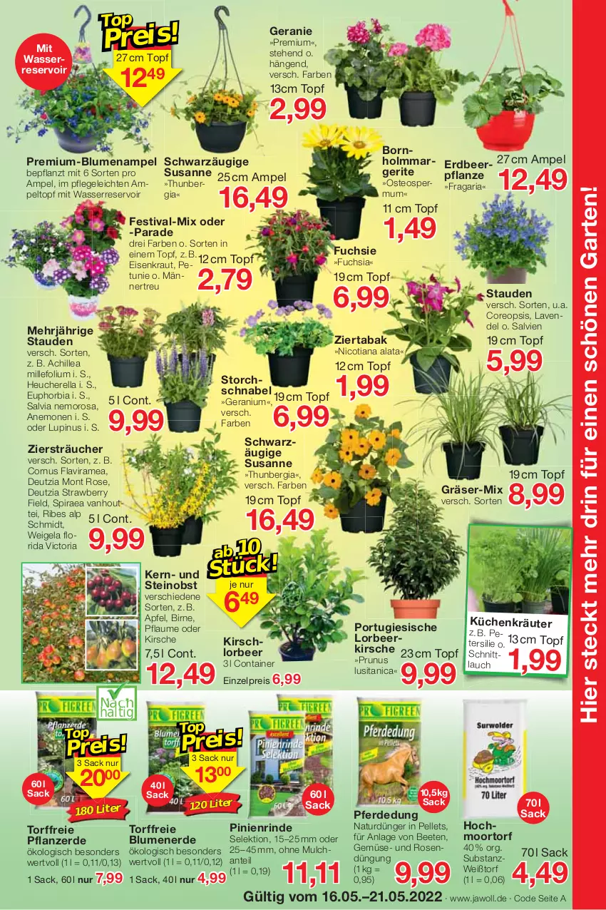 Aktueller Prospekt Jawoll - Prospekte - von 15.05 bis 21.05.2022 - strona 7 - produkty: apfel, blume, blumen, Blumenampel, blumenerde, chili, Container, dünger, eis, elle, erde, Garten, geranie, Heu, kirsch, kirsche, Kraut, kräuter, küche, Küchen, lavendel, natur, obst, oreo, Pellets, pflanze, pflanzerde, pflaume, reis, rel, Ria, rind, rosen, sac, stauden, Ti, topf, wasser