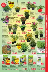 Gazetka promocyjna Jawoll - Prospekte - Gazetka - ważna od 21.05 do 21.05.2022 - strona 7 - produkty: apfel, blume, blumen, Blumenampel, blumenerde, chili, Container, dünger, eis, elle, erde, Garten, geranie, Heu, kirsch, kirsche, Kraut, kräuter, küche, Küchen, lavendel, natur, obst, oreo, Pellets, pflanze, pflanzerde, pflaume, reis, rel, Ria, rind, rosen, sac, stauden, Ti, topf, wasser