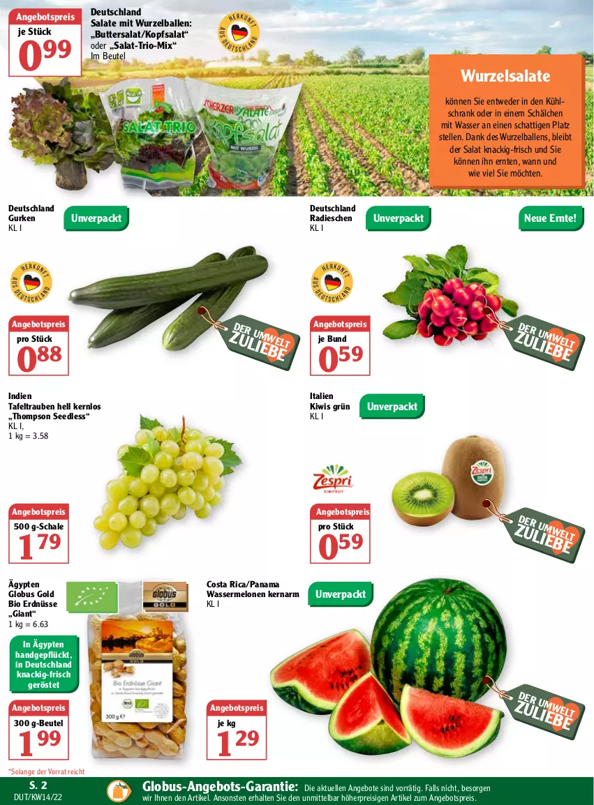 Aktueller Prospekt Globus - Prospekte - von 04.04 bis 09.04.2022 - strona 4 - produkty: angebot, angebote, angebotspreis, ball, beutel, bio, butter, eis, elle, erdnüsse, gurke, gurken, kiwi, kopfsalat, kühlschrank, melone, melonen, radieschen, reis, salat, salate, Schal, Schale, Schrank, tafeltrauben, Ti, trauben, wasser, wassermelone, wassermelonen