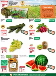 Gazetka promocyjna Globus - Prospekte - Gazetka - ważna od 09.04 do 09.04.2022 - strona 4 - produkty: angebot, angebote, angebotspreis, ball, beutel, bio, butter, eis, elle, erdnüsse, gurke, gurken, kiwi, kopfsalat, kühlschrank, melone, melonen, radieschen, reis, salat, salate, Schal, Schale, Schrank, tafeltrauben, Ti, trauben, wasser, wassermelone, wassermelonen