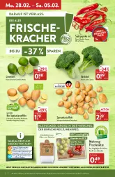 Gazetka promocyjna Aldi Nord - Aldi-Vorschau - Gazetka - ważna od 05.03 do 05.03.2022 - strona 2 - produkty: aldi, angebot, beutel, binden, bio, brokkoli, Clin, eis, erde, kartoffel, kartoffeln, kracher, limette, limetten, Mett, metten, obst, Obst und Gemüse, paprika, paprika rot, rum, rwe, Schal, Schale, speisekartoffeln, Spitzpaprika, Ti, trolli, und gemüse, ZTE