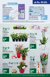 Gazetka promocyjna Aldi Nord - Aldi-Vorschau - Gazetka - ważna od 05.03 do 05.03.2022 - strona 25 - produkty: asti, Atemschutzmaske, Blüte, Brei, Brille, burger, eis, erde, FFP2, Gesichtsmaske, gin, handschuhe, Kalanchoe, kulturtopf, Maske, medizinprodukt, pflanze, pflanzen, phalaenopsis, Rauch, Ria, rind, rwe, schuhe, Ti, tisch, topf, tragegriff, Tüte, übertopf, ZTE