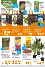 Gazetka promocyjna  - Gazetka - ważna od 03.05 do 03.05.2025 - strona 4 - produkty: auer, aust, Bau, beutel, bio, dekoration, erde, Garten, Gartendekoration, Grünpflanzen, Kraut, kräuter, kräutern, kübelpflanzen, Kübelpflanzenerde, pflanze, pflanzen, rasen, Rasenerde, rasensamen, Rauch, rind, rindenmulch, ring, sac, senf, Ti, tomate, tomaten, topf, usb, wasser