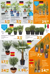 Gazetka promocyjna - Gazetka - ważna od 03.05 do 03.05.2025 - strona 5 - produkty: apfel, Bau, beere, Blaubeer, blaubeere, elle, flieder, gewürz, gurke, gurken, honig, kräuter, kräutern, küche, obst, olive, oliven, paprika, pflanze, pflanzen, sanddorn, Schal, Schale, spargel, Ti, tomate, tomaten, topf, Wild