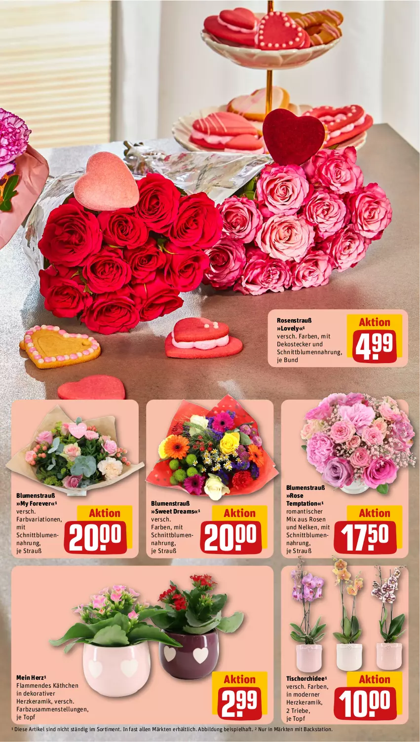 Aktueller Prospekt Rewe - Prospekte - von 12.02 bis 17.02.2024 - strona 5 - produkty: blume, blumen, Blumenstrauß, eis, lamm, Mode, orchidee, Ria, rosen, Rosenstrauß, Ti, tisch, topf