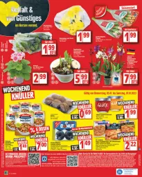 Gazetka promocyjna Edeka - Angebote der Woche - Gazetka - ważna od 07.01 do 07.01.2023 - strona 20 - produkty: angebot, angebote, arla, aufstrich, beispielabbildung, culinaria, deka, die ofenfrische, Donut, Dr. Oetker, eintöpfe, eis, Elan, elle, frucht, fruchtaufstrich, hot dog, kakao, kiwi, LG, margherita, Narzissen, Ofen, orchidee, orchideen, phalaenopsis, pizza, pizza tradizionale, reis, rel, Ria, Schal, Schale, schoko, schokolade, schokoladen, telefon, Ti, top-preis, topf, tradizionale, uhr, Wella, ZTE