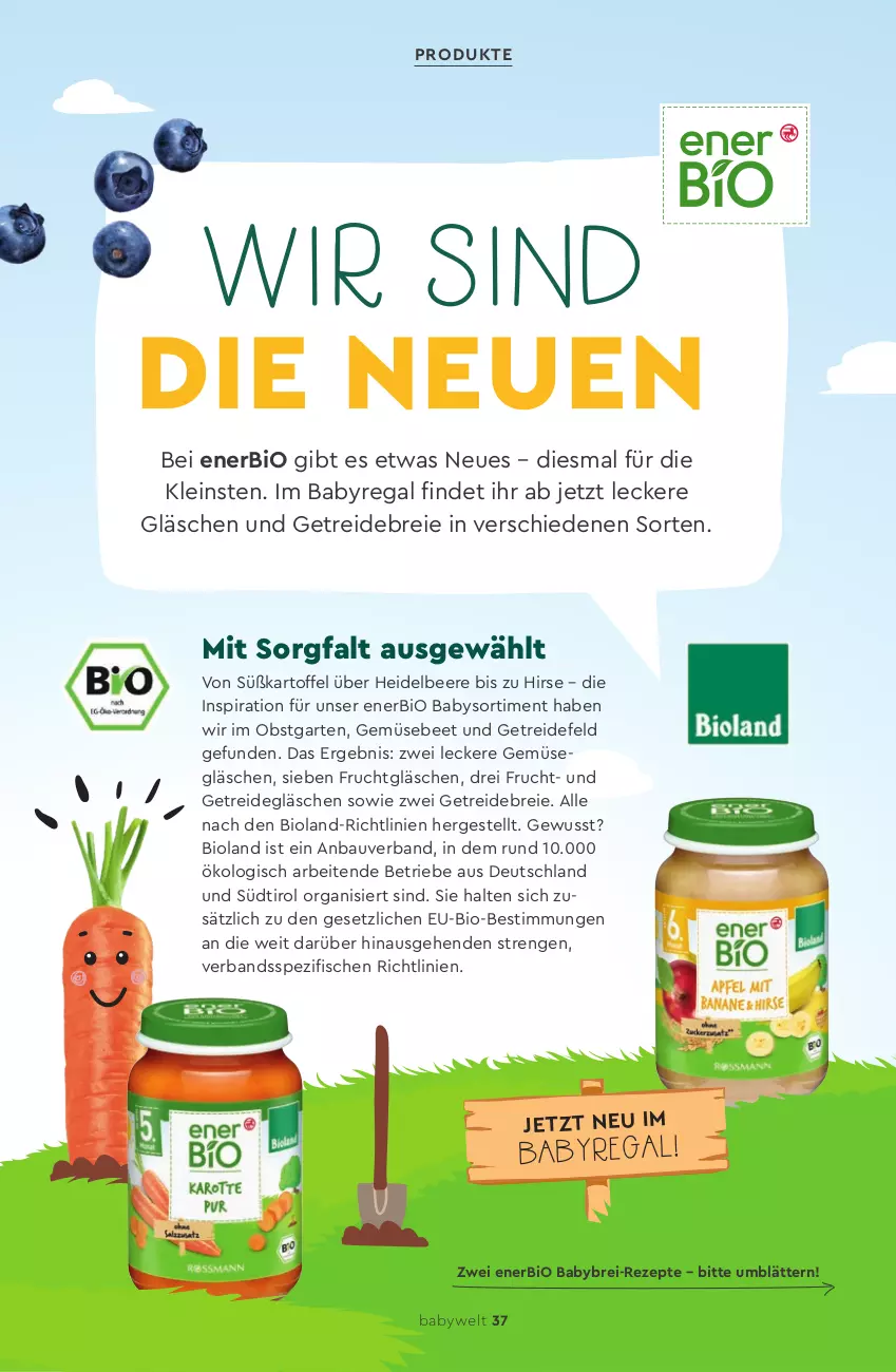 Aktueller Prospekt Rossmann - Prospekte - von 01.03.2019 bis 31.08.2020 - strona 37 - produkty: Bau, beere, bio, bioland, Brei, fisch, fische, frucht, Garten, gefu, heidelbeere, kartoffel, obst, obstgarten, regal, rezept, rezepte, Spezi, Ti