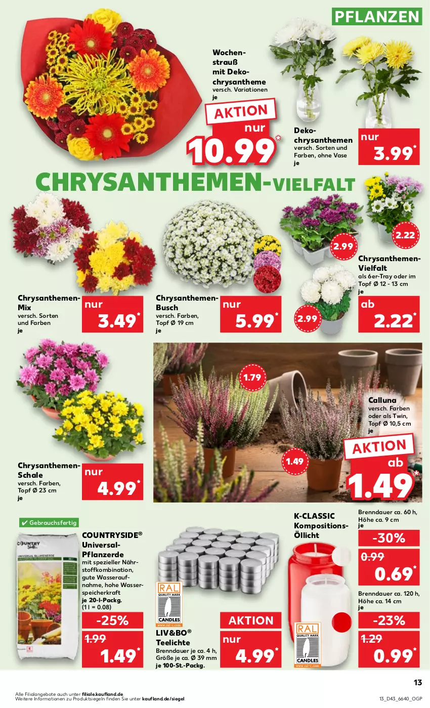 Aktueller Prospekt Kaufland - Prospekt - von 26.10 bis 01.11.2023 - strona 13 - produkty: angebot, angebote, auer, chrysanthemen, elle, erde, kraft, pflanze, pflanzen, pflanzerde, Rauch, Ria, Schal, Schale, Spezi, tee, Teelicht, teelichte, Ti, topf, Vase, wasser