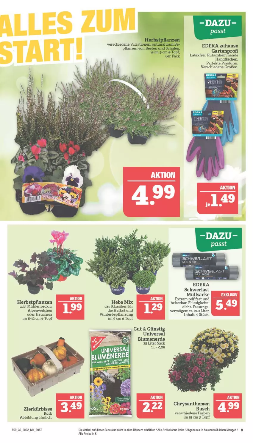 Aktueller Prospekt Marktkauf - Prospekt - von 25.09 bis 01.10.2022 - strona 9 - produkty: Alpenveilchen, blume, blumen, blumenerde, chrysanthemen, deka, eis, erde, Garten, Heu, korb, Kürbis, pflanze, pflanzen, reis, Ria, sac, Ti, topf