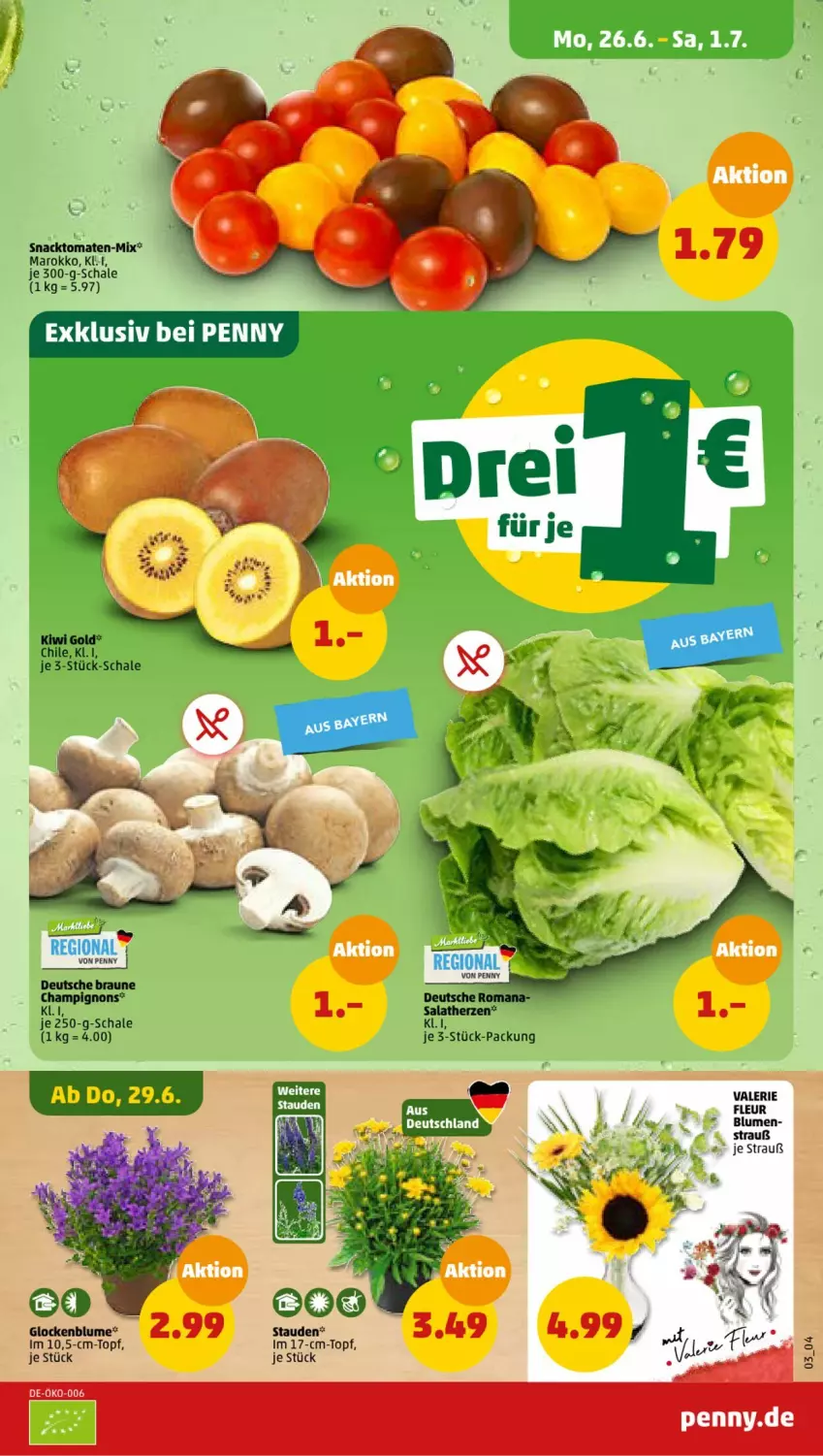 Aktueller Prospekt Penny - Prospekte - von 26.06 bis 01.07.2023 - strona 3 - produkty: blume, blumen, braun, champignon, champignons, Kaki, kiwi, Kiwi Gold, salat, salatherzen, Schal, Schale, snack, tomate, tomaten, topf