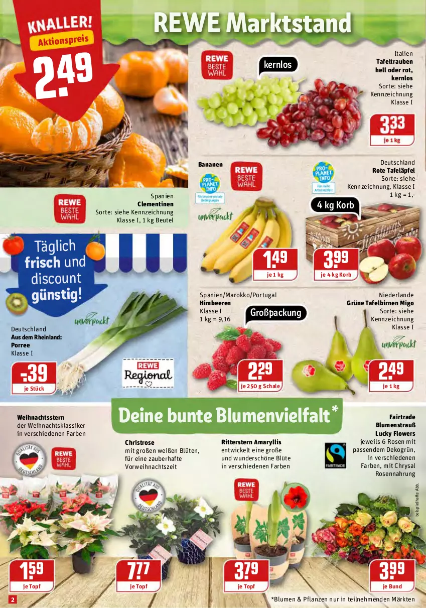 Aktueller Prospekt Rewe - Prospekte - von 08.11 bis 14.11.2021 - strona 2